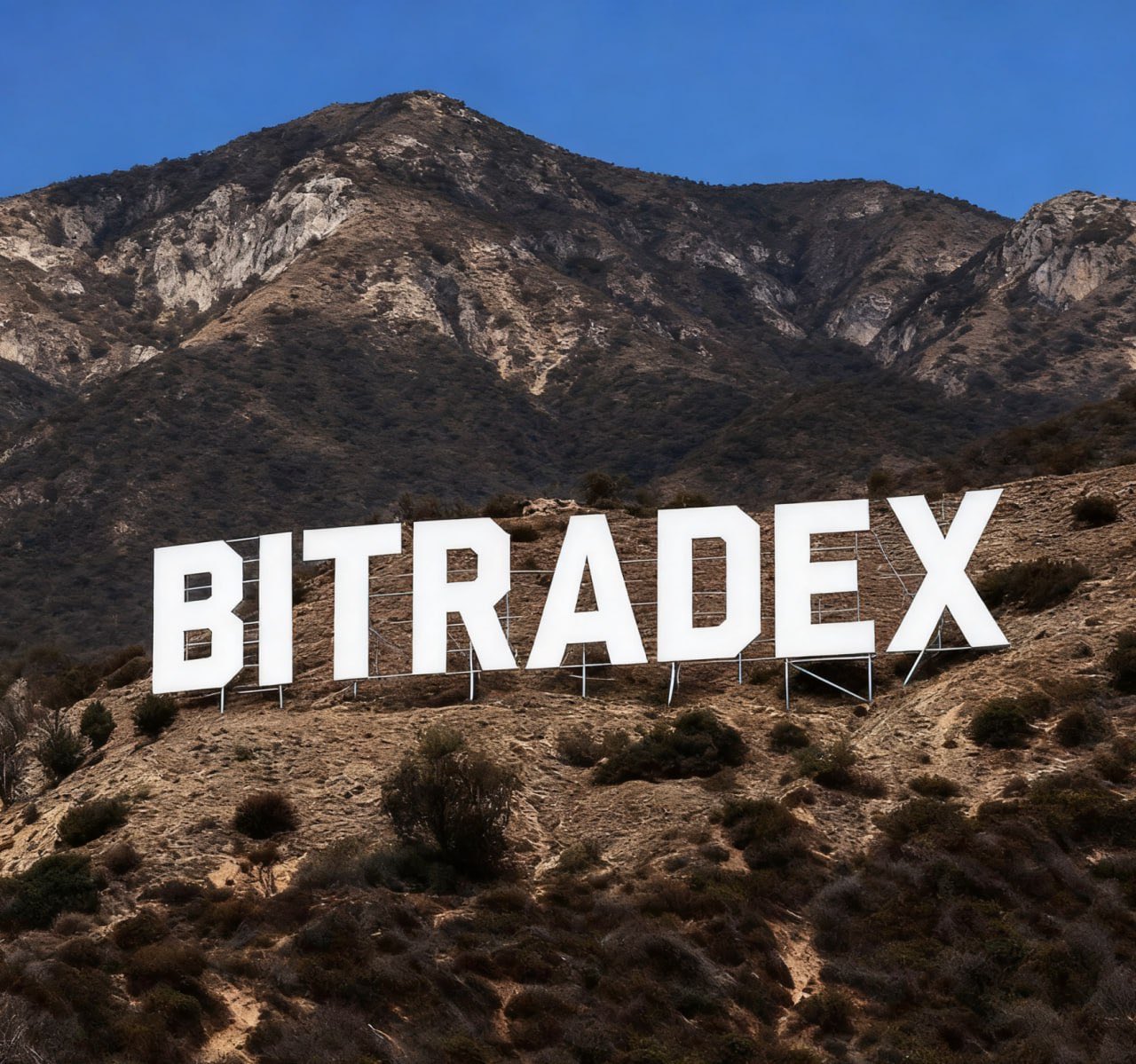 BitradeX AI Bot Yields: What the Implied Risk Premium Seems to Be Paying For